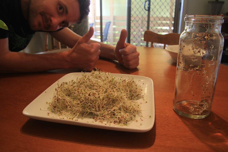 Sprouts Jar Method 8